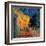 Pavement Cafe at Night-Vincent van Gogh-Framed Art Print