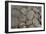 Pavement Detail, Roman Site of Herculaneum, Italy-Natalie Tepper-Framed Photo