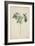 Pavetta Indica Linn, 1800-10-null-Framed Giclee Print