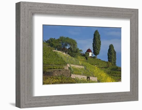 Pavilion at the Spitzhaus Above the Vineyards in Radebeul Near Dresden-Uwe Steffens-Framed Photographic Print