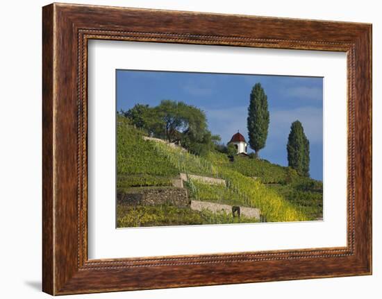 Pavilion at the Spitzhaus Above the Vineyards in Radebeul Near Dresden-Uwe Steffens-Framed Photographic Print