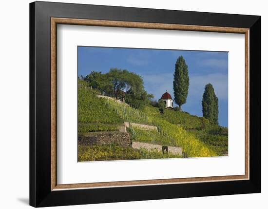 Pavilion at the Spitzhaus Above the Vineyards in Radebeul Near Dresden-Uwe Steffens-Framed Photographic Print