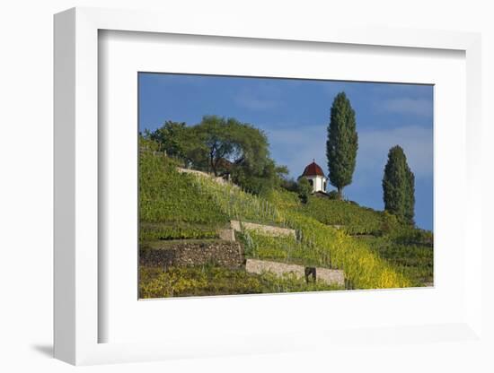 Pavilion at the Spitzhaus Above the Vineyards in Radebeul Near Dresden-Uwe Steffens-Framed Photographic Print