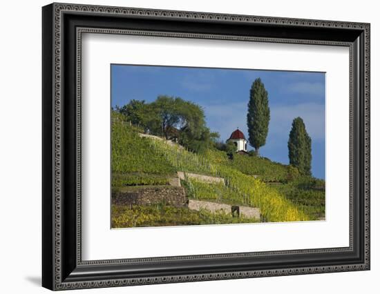 Pavilion at the Spitzhaus Above the Vineyards in Radebeul Near Dresden-Uwe Steffens-Framed Photographic Print