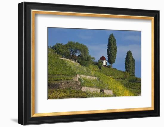 Pavilion at the Spitzhaus Above the Vineyards in Radebeul Near Dresden-Uwe Steffens-Framed Photographic Print