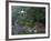 Pavilion with Lake in the Mountain, Tiantai Mountain, Zhejiang Province, China-Keren Su-Framed Photographic Print