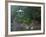 Pavilion with Lake in the Mountain, Tiantai Mountain, Zhejiang Province, China-Keren Su-Framed Photographic Print