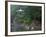 Pavilion with Lake in the Mountain, Tiantai Mountain, Zhejiang Province, China-Keren Su-Framed Photographic Print