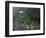 Pavilion with Lake in the Mountain, Tiantai Mountain, Zhejiang Province, China-Keren Su-Framed Photographic Print