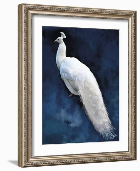 Pavone-Mark Chandon-Framed Giclee Print