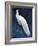 Pavone-Mark Chandon-Framed Giclee Print