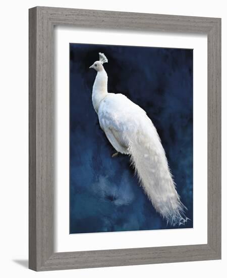 Pavone-Mark Chandon-Framed Giclee Print