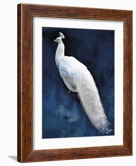 Pavone-Mark Chandon-Framed Giclee Print