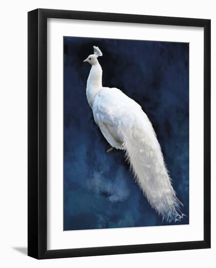 Pavone-Mark Chandon-Framed Giclee Print