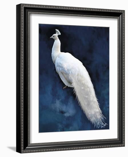 Pavone-Mark Chandon-Framed Giclee Print