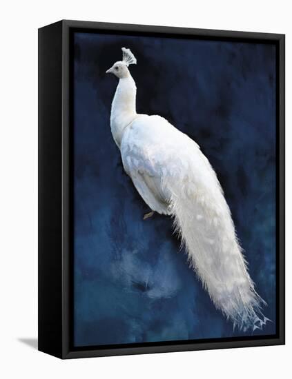 Pavone-Mark Chandon-Framed Stretched Canvas