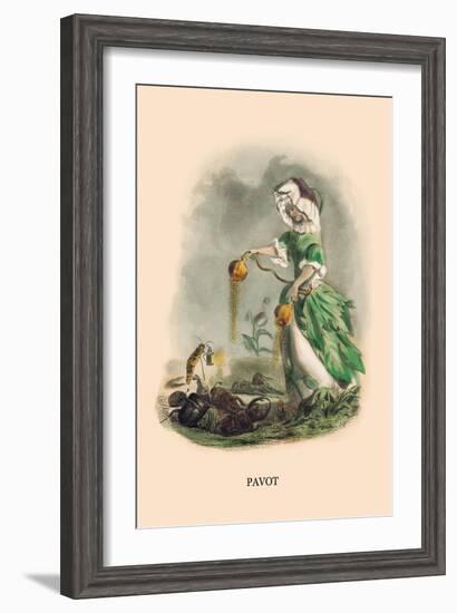 Pavot-J.J. Grandville-Framed Art Print