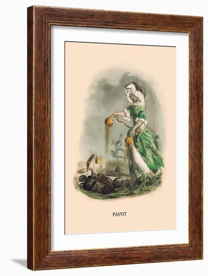 Pavot-J.J. Grandville-Framed Art Print