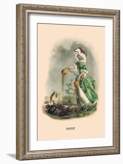 Pavot-J.J. Grandville-Framed Art Print