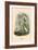 Pavot-J.J. Grandville-Framed Art Print