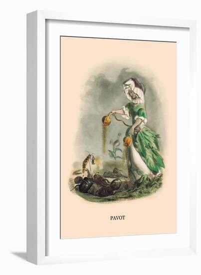 Pavot-J.J. Grandville-Framed Art Print