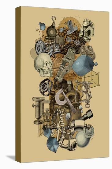 Stretched Canvas Print, , large