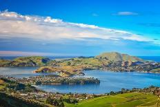 Dunedin Town and Bay as Seen from the Hills Above-pawopa3336-Photographic Print