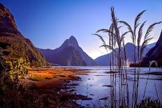 Milford Sound at Dawn-pawopa3336-Photographic Print