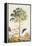 Pawpaw Tree-Georg Dionysius Ehret-Framed Premier Image Canvas