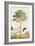 Pawpaw Tree-Georg Dionysius Ehret-Framed Giclee Print