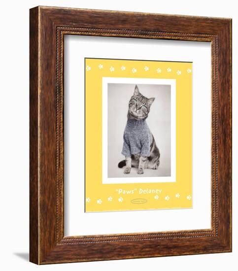 Paws Delaney-Rachael Hale-Framed Art Print