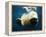 Paws of a Floating Polar Bear-Stuart Westmorland-Framed Premier Image Canvas