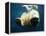 Paws of a Floating Polar Bear-Stuart Westmorland-Framed Premier Image Canvas