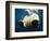 Paws of a Floating Polar Bear-Stuart Westmorland-Framed Photographic Print