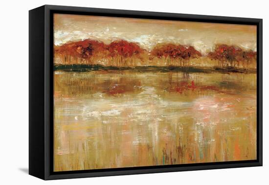 Paxton Cove-Jack Roth-Framed Stretched Canvas