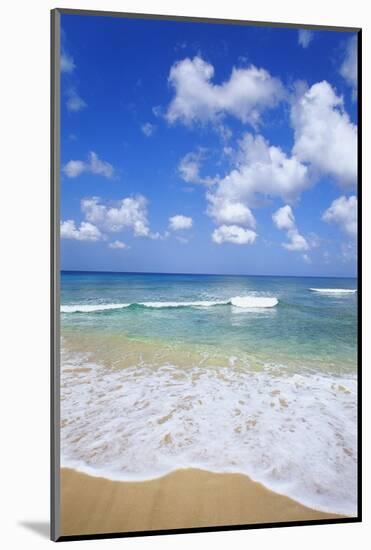 Paynes Bay, Barbados, Caribbean-Hans Peter Merten-Mounted Photographic Print