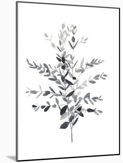 Paynes Grey Botanicals II-Emma Scarvey-Mounted Art Print