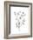 Paynes Grey Botanicals IV-Emma Scarvey-Framed Art Print