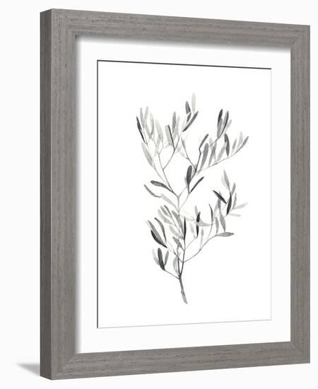 Paynes Grey Botanicals IV-Emma Scarvey-Framed Art Print
