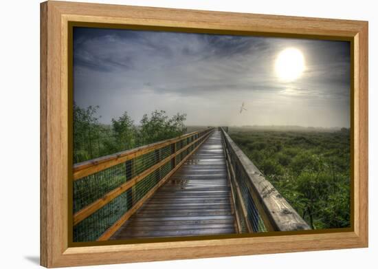 Paynes Prairie State Preserve, Florida: a View of the Prairie During Sunrise-Brad Beck-Framed Premier Image Canvas