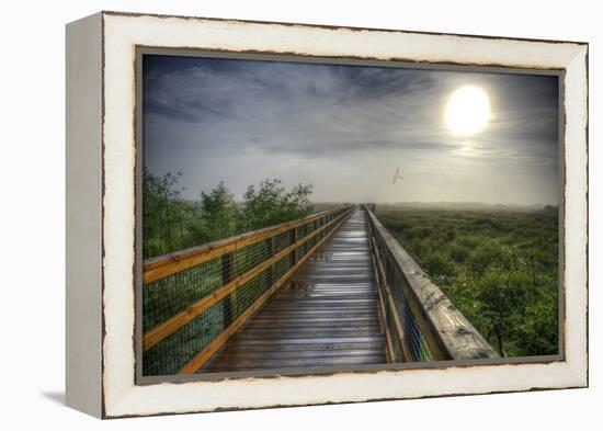 Paynes Prairie State Preserve, Florida: a View of the Prairie During Sunrise-Brad Beck-Framed Premier Image Canvas