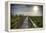 Paynes Prairie State Preserve, Florida: a View of the Prairie During Sunrise-Brad Beck-Framed Premier Image Canvas