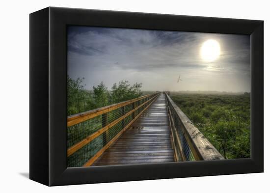 Paynes Prairie State Preserve, Florida: a View of the Prairie During Sunrise-Brad Beck-Framed Premier Image Canvas