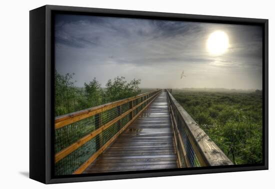 Paynes Prairie State Preserve, Florida: a View of the Prairie During Sunrise-Brad Beck-Framed Premier Image Canvas