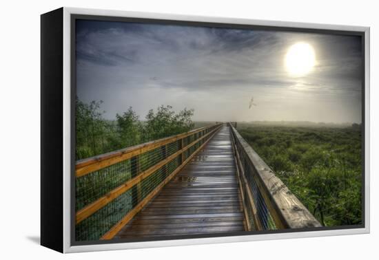 Paynes Prairie State Preserve, Florida: a View of the Prairie During Sunrise-Brad Beck-Framed Premier Image Canvas