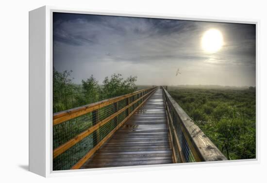 Paynes Prairie State Preserve, Florida: a View of the Prairie During Sunrise-Brad Beck-Framed Premier Image Canvas