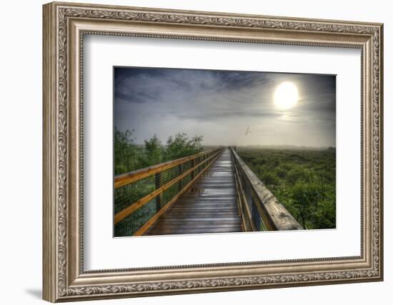 Paynes Prairie State Preserve, Florida: a View of the Prairie During Sunrise-Brad Beck-Framed Photographic Print