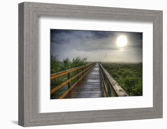 Paynes Prairie State Preserve, Florida: a View of the Prairie During Sunrise-Brad Beck-Framed Photographic Print