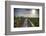 Paynes Prairie State Preserve, Florida: a View of the Prairie During Sunrise-Brad Beck-Framed Photographic Print