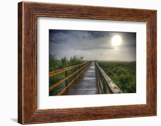 Paynes Prairie State Preserve, Florida: a View of the Prairie During Sunrise-Brad Beck-Framed Photographic Print